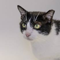 Thumbnail photo of Meadow #1