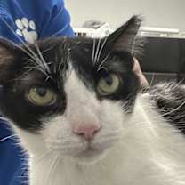 Thumbnail photo of Meadow #2