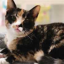 Thumbnail photo of Sasha #2