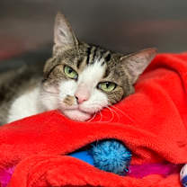 Thumbnail photo of Tilly #2