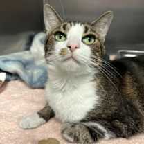 Thumbnail photo of Tilly #3