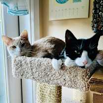 Thumbnail photo of Peaches #3