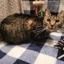 Thumbnail photo of Whiz Kid #2