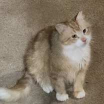 Thumbnail photo of Quinn #1