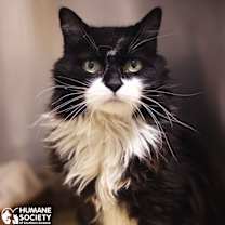 Thumbnail photo of LOLA #1