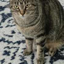 Thumbnail photo of Joyce #1