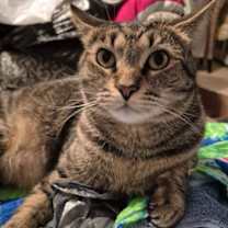 Thumbnail photo of Joyce #2