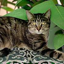 Thumbnail photo of Joyce #3