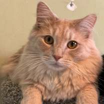 Thumbnail photo of Jesse #1