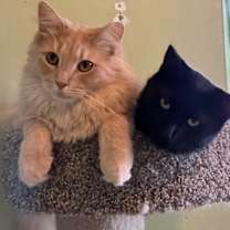 Thumbnail photo of Jesse #2