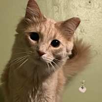 Thumbnail photo of Jesse #3