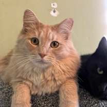 Thumbnail photo of Jesse #4