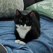 Thumbnail photo of Kenzi #1