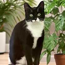 Thumbnail photo of Kenzi #2