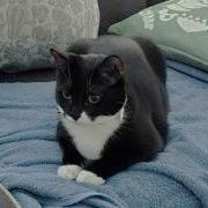 Thumbnail photo of Kenzi #3