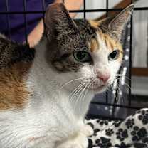 Thumbnail photo of Lia #3