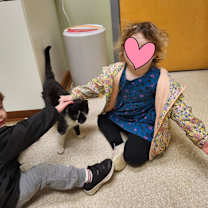 Thumbnail photo of TOADSTOOL #2