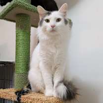 Thumbnail photo of Petey #1