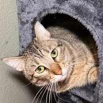 Thumbnail photo of Annie #2