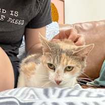 Thumbnail photo of Holly Hobby #3