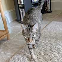 Thumbnail photo of Bivens #2