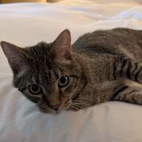 Thumbnail photo of Bivens #4