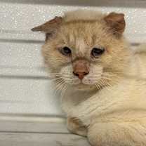 Thumbnail photo of Mortimer JG #2