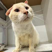 Thumbnail photo of Mortimer JG #3