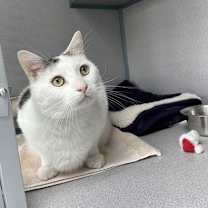 Thumbnail photo of Splash #2