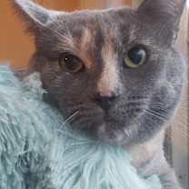 Thumbnail photo of Padilla (Courtesy Post) #3