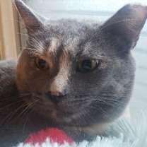 Thumbnail photo of Padilla (Courtesy Post) #4