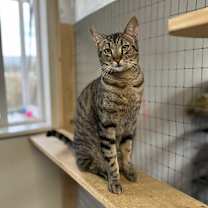 Thumbnail photo of Olly #3