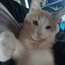 Thumbnail photo of SPROUT #2