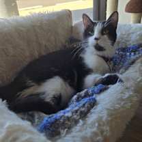 Thumbnail photo of Sweet Caroline #4