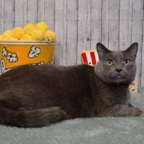 Thumbnail photo of Eloise #3