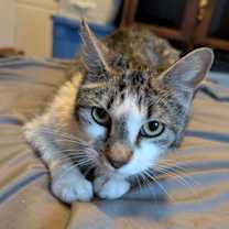 Thumbnail photo of Emily #2