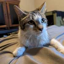 Thumbnail photo of Emily #3