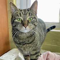 Thumbnail photo of Sienna #3