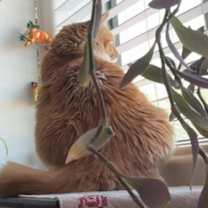 Thumbnail photo of GRETA #4