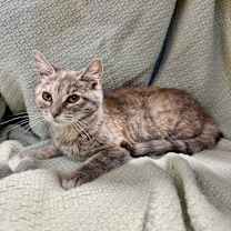 Thumbnail photo of Wonton (previously JK 17) #1