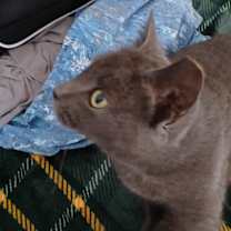 Thumbnail photo of April #1