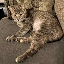 Thumbnail photo of Margarita #1