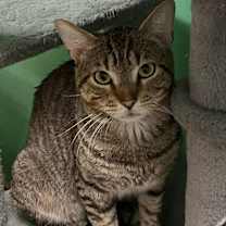 Thumbnail photo of Danny Boy #2