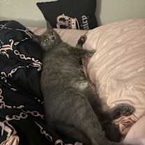 Thumbnail photo of Tyler #4