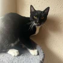 Thumbnail photo of Matthew #4