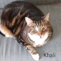 Thumbnail photo of Khali sweet healthy senior #1