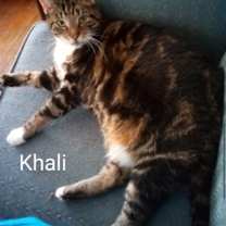 Thumbnail photo of Khali sweet healthy senior #2