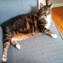 Thumbnail photo of Khali sweet healthy senior #4