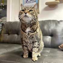 Thumbnail photo of Lacey #4