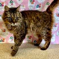 Thumbnail photo of Sofia #1